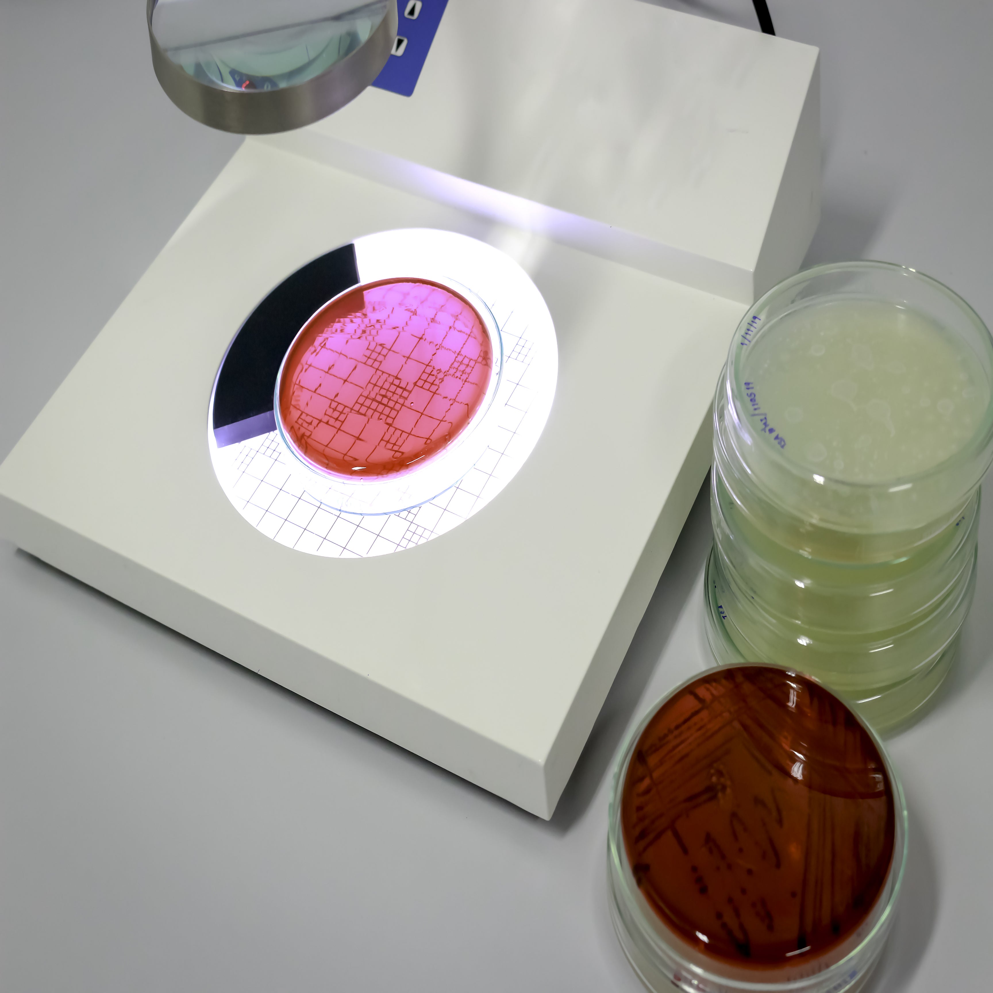 Microbiological Plate Methods